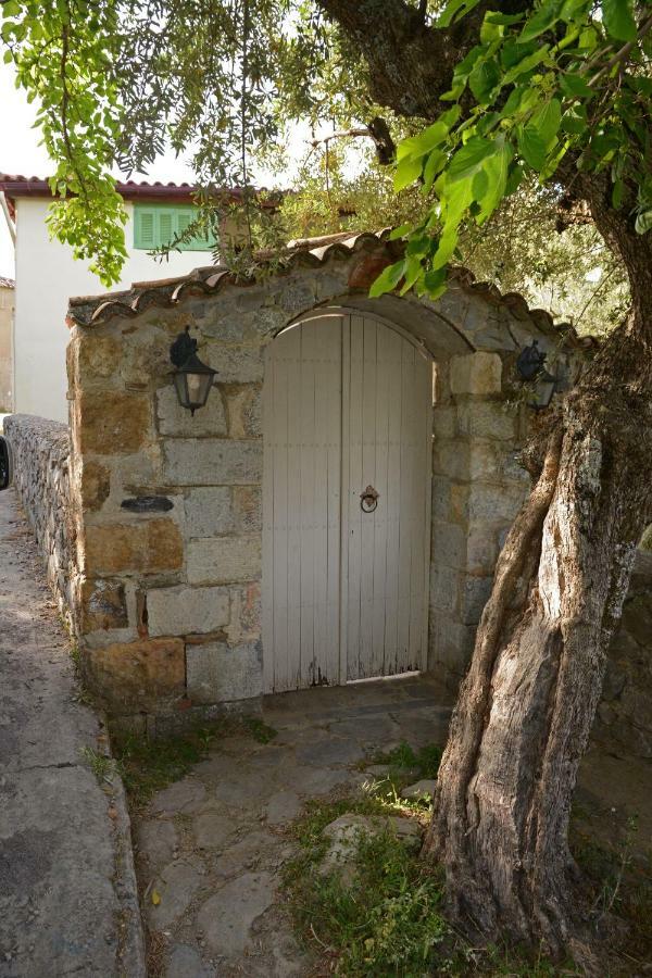 Mistra Estates Villa The Vine Pikouliánika المظهر الخارجي الصورة