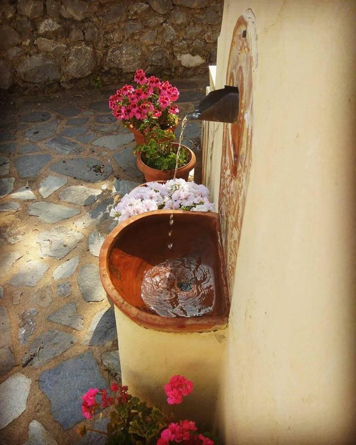 Mistra Estates Villa The Vine Pikouliánika المظهر الخارجي الصورة
