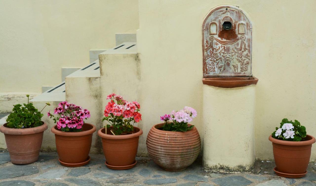 Mistra Estates Villa The Vine Pikouliánika المظهر الخارجي الصورة